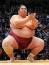 SumoWrestler's Avatar